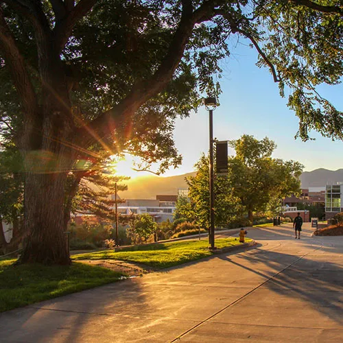 Picture of campus with sunset in the background 