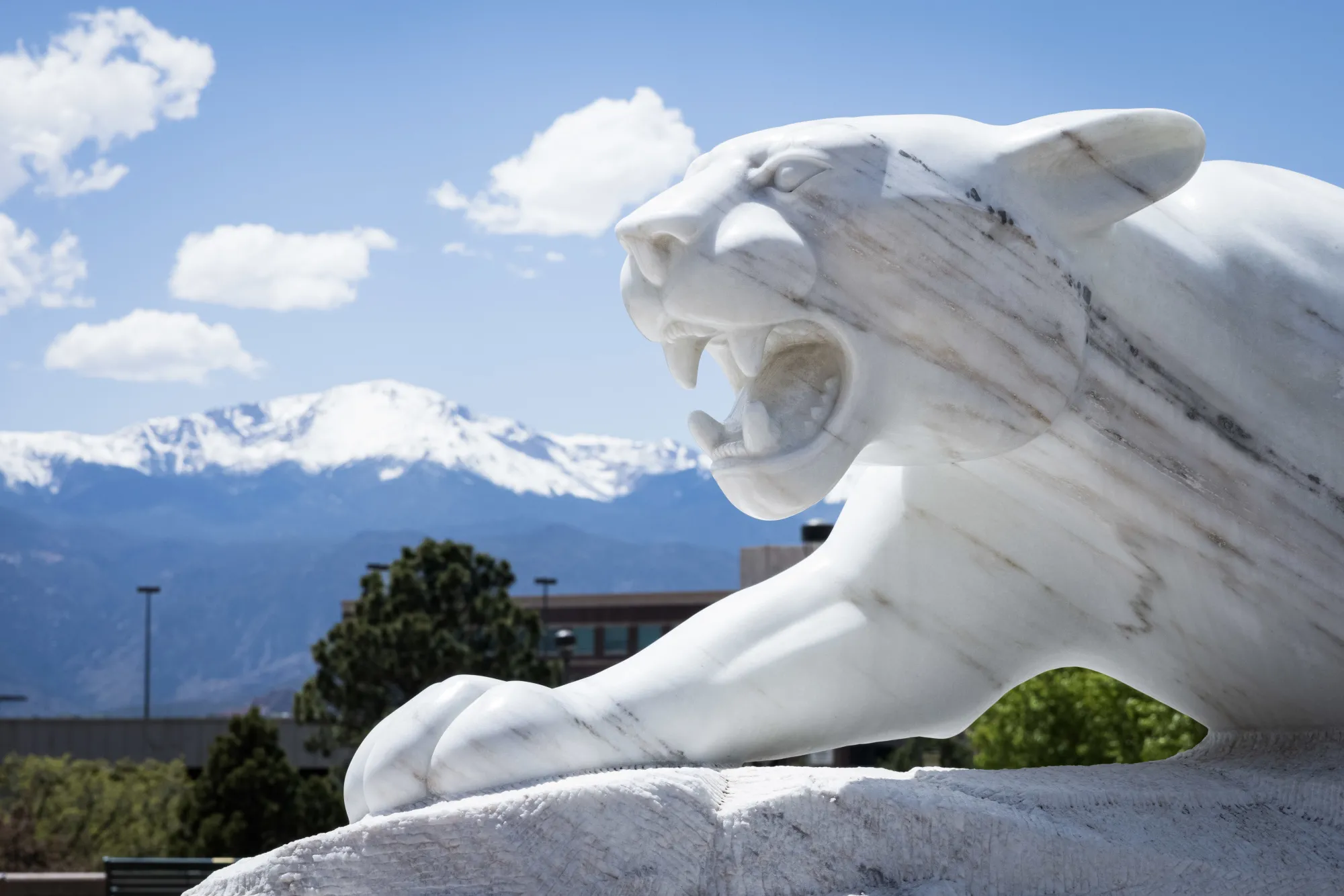 Picture of mountain lion statue with Pikes Peak in background 